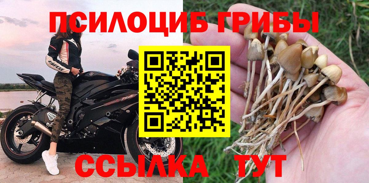 Псилоцибиновые грибы ЛСД  дарнет шоп  Галлюциногенные грибы GOLDEN TEACHER  Кострома  Вход с VPN 