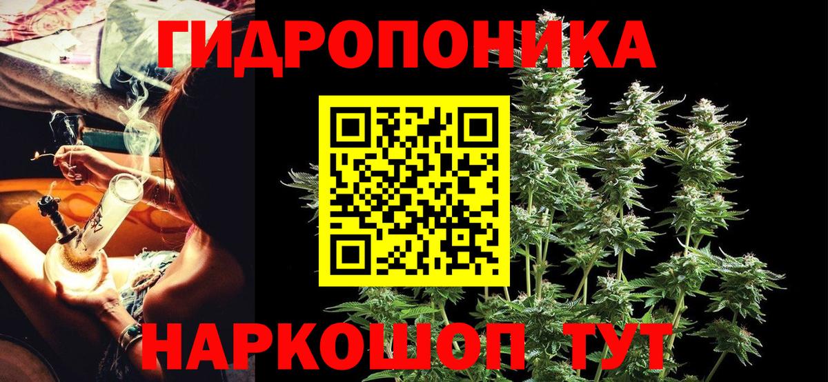 Бошки марихуана SATIVA & INDICA  Вход с VPN  Кострома  Конопля марихуана 